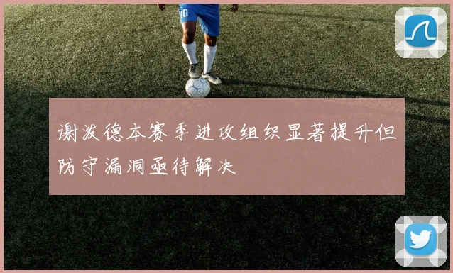 谢泼德本赛季进攻组织显著提升但防守漏洞亟待解决