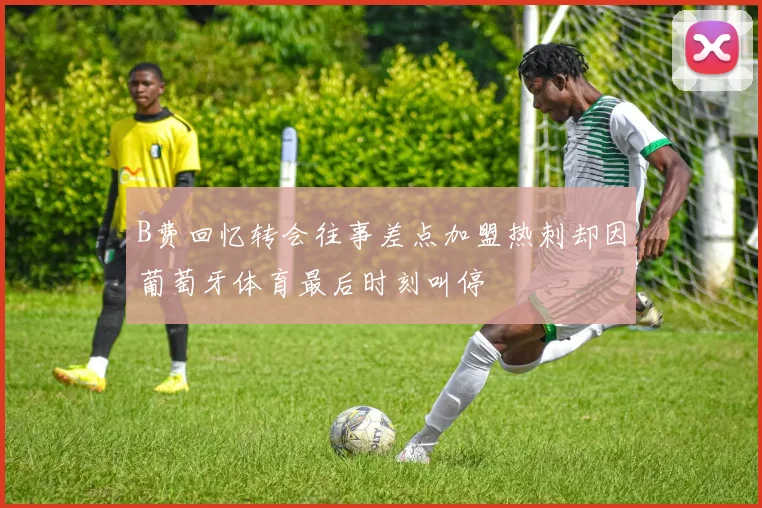 B费回忆转会往事差点加盟热刺却因葡萄牙体育最后时刻叫停