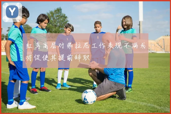 红鸟高层对弗拉尼工作表现不满或将促使其提前辞职