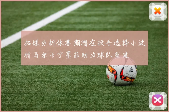 拓媒分析休赛期潜在投手选择小波特马尔卡宁墨菲助力球队重建